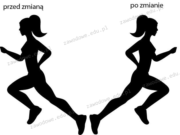 Ilustracja do pytania 13