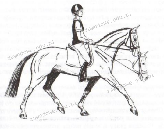 Ilustracja do pytania 6