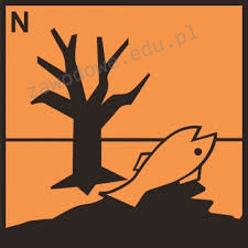Ilustracja do pytania 1