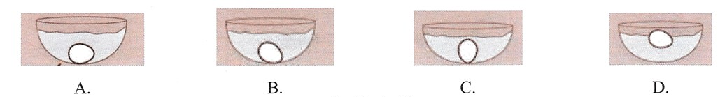 Ilustracja do pytania