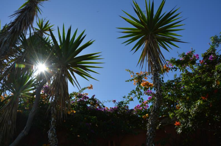 Ilustracja do pytania