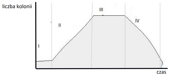 Ilustracja do pytania 12