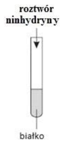 Ilustracja do pytania 27