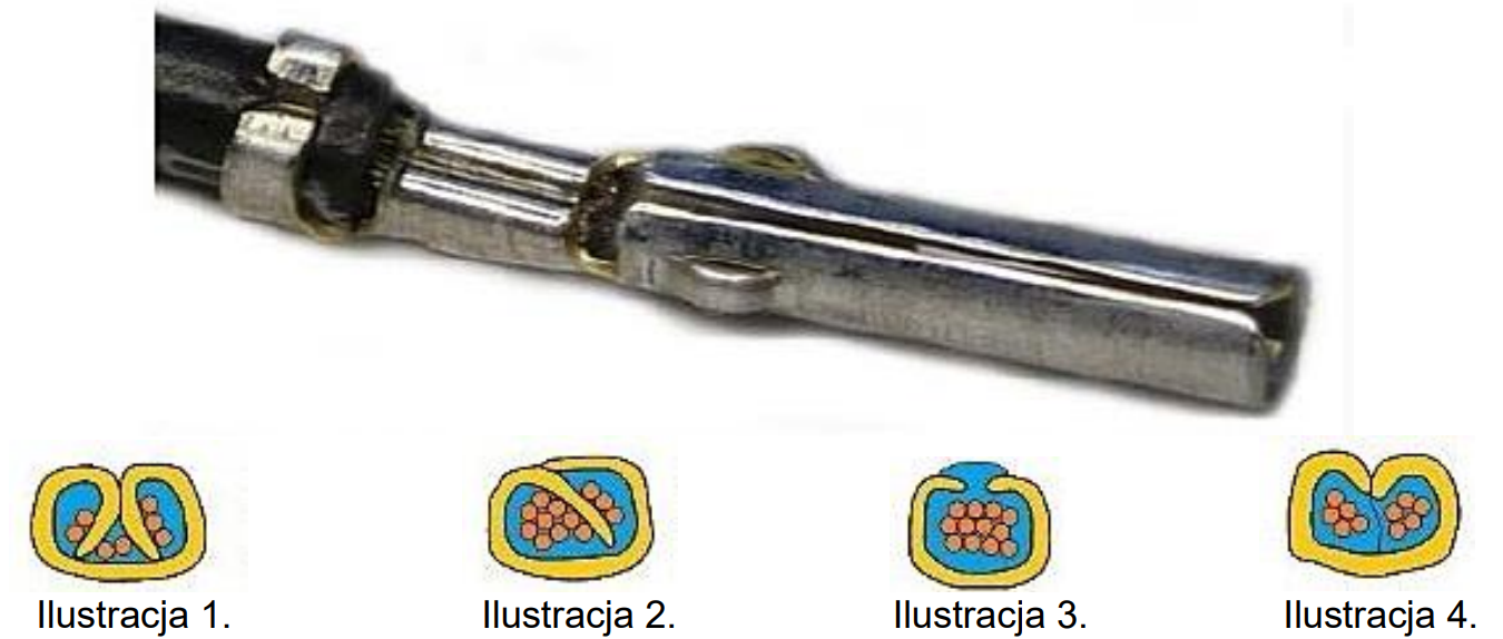 Ilustracja do pytania