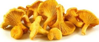 Ilustracja do pytania 26