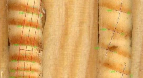 Ilustracja do pytania 27