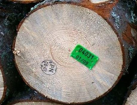 Ilustracja do pytania 23